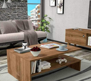 طاولة قهوة كلاسيكية فاخرة لغرفة المعيشة بتصميم أنيق (110×55 سم) furnoova_1